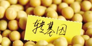 俄羅斯嚴(yán)格管制轉(zhuǎn)基因食品 違法生產(chǎn)和進口將面臨罰款